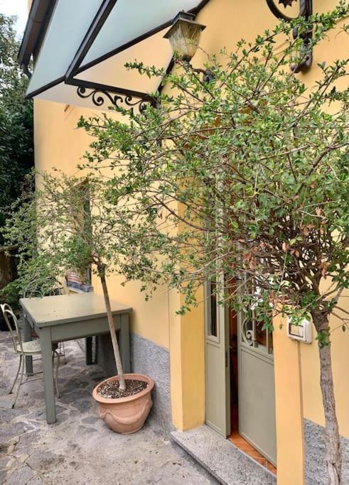 Il Riccio Appartamento Cernobbio Exterior foto